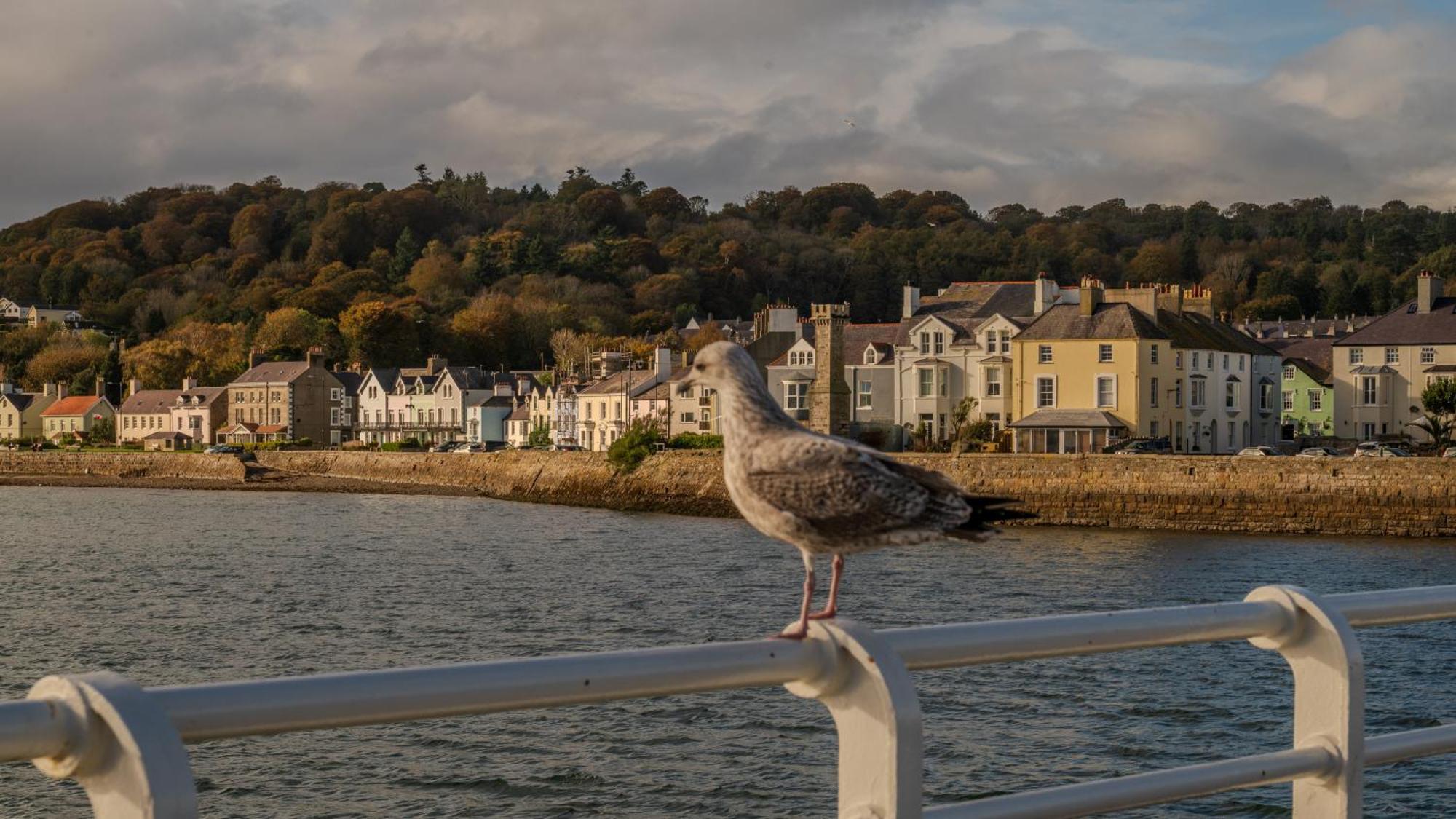 Castle Court Hotell Beaumaris Exteriör bild